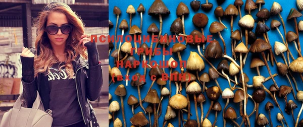 твердый Баксан