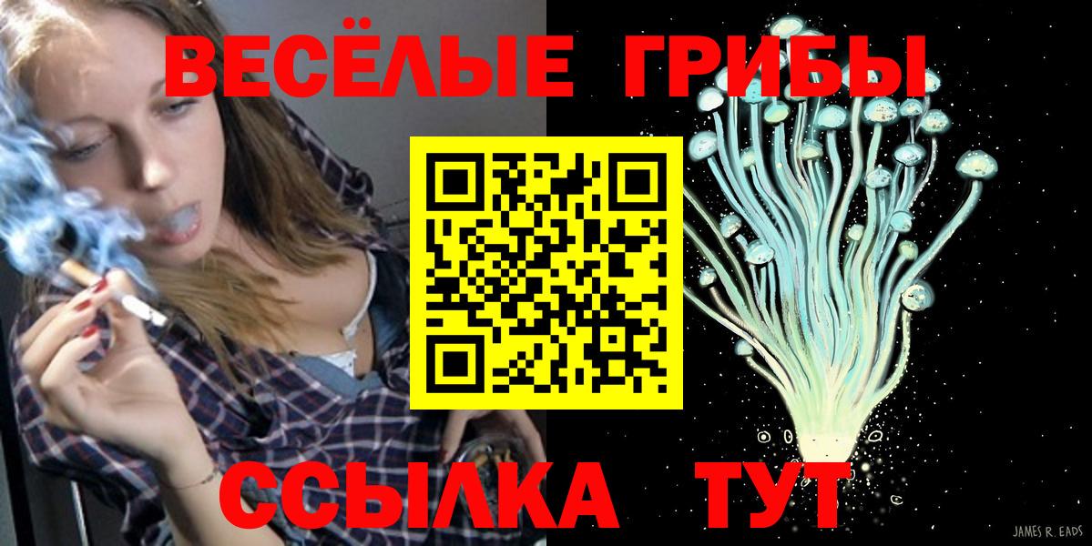 Псилоцибиновые грибы Psilocybine cubensis Вятские Поляны