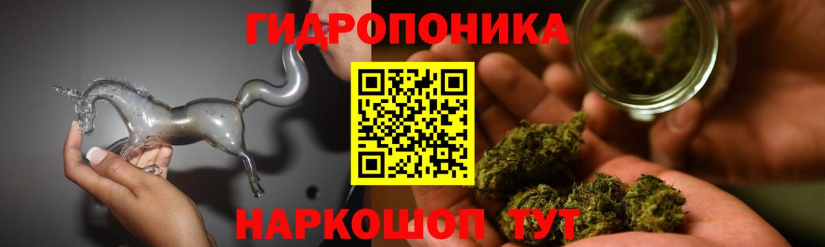 Шишки марихуана White Widow Вятские Поляны